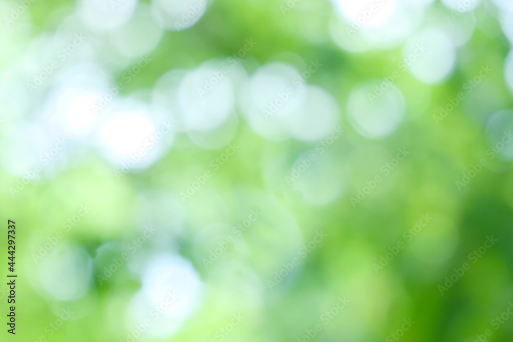 Bokeh blur tree nature background with sunlight on summer. Spring season. Bokeh blur tree nature background with sunlight on summer. Spring season.