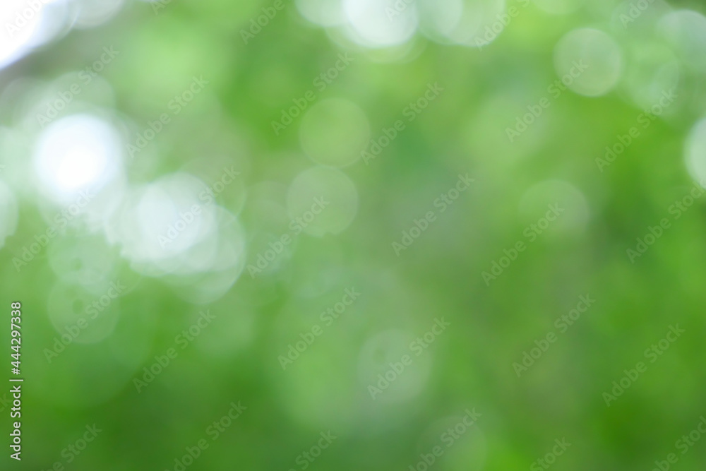 Bokeh blur tree nature background with sunlight on summer. Spring season. Bokeh blur tree nature background with sunlight on summer. Spring season.