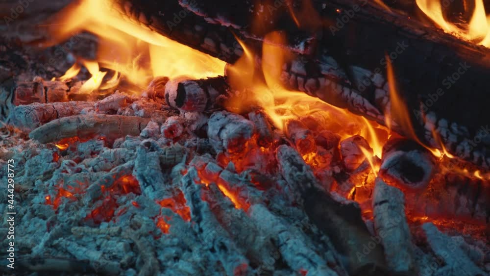 Bonfire burning in the wild. Rack of focus with focusing on the wood Bonfire burning in the wild. Rack of focus with focusing on the wood