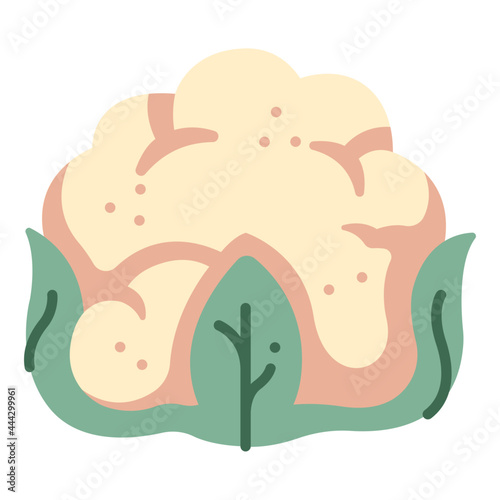 cauliflower icon