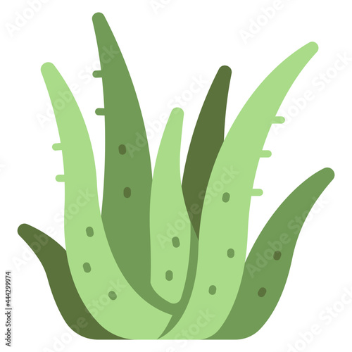 aloe vera icon