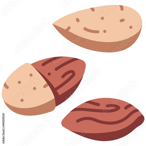 almond icon