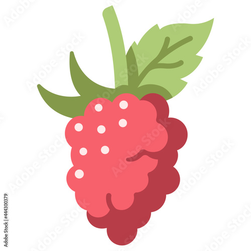 raspberry icon