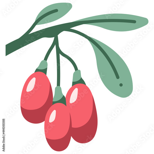 goji berry icon