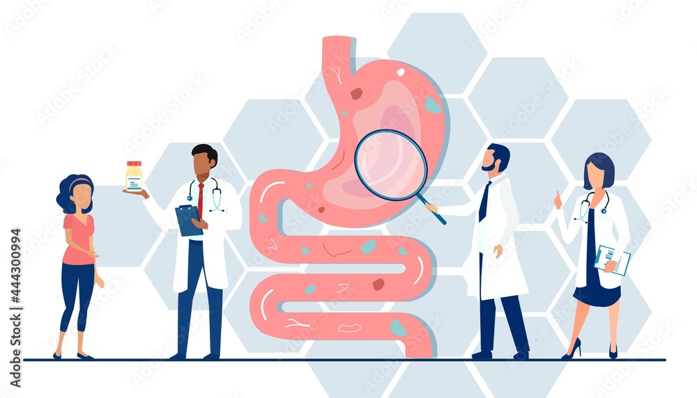 Vector of a medical team examining gastrointestinal tract and digestive system giving advice to a patient - obrazy, fototapety, plakaty 