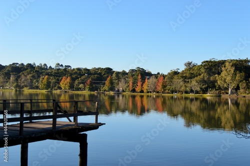 Canvas Print Beautiful afternoon in São Bernardo's lake, with reflection of red leaves into the water and a wooden deck, São Francisco de Paula, southern Brazil
