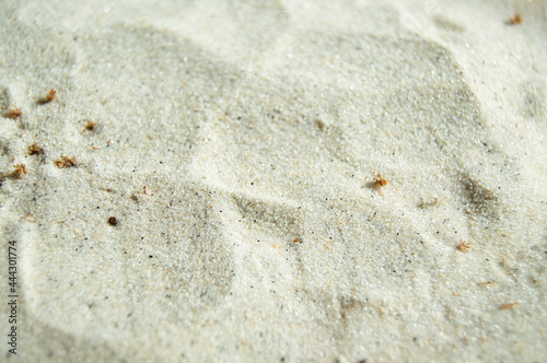 Close up de areia
