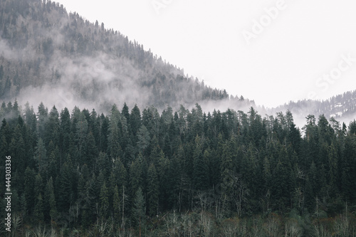 Natural landscape of misty green forest mountains and blue lake outdoors © Елизавета Старкова