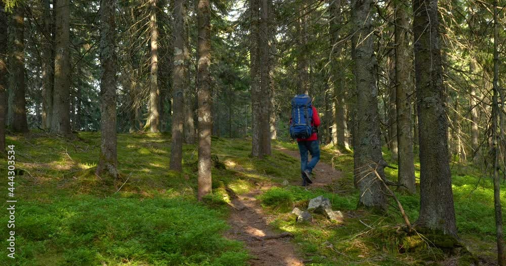 Tourist guy with backpack hiking on an adventure trip in natural landscape Tourist guy with backpack hiking on an adventure trip in natural landscape