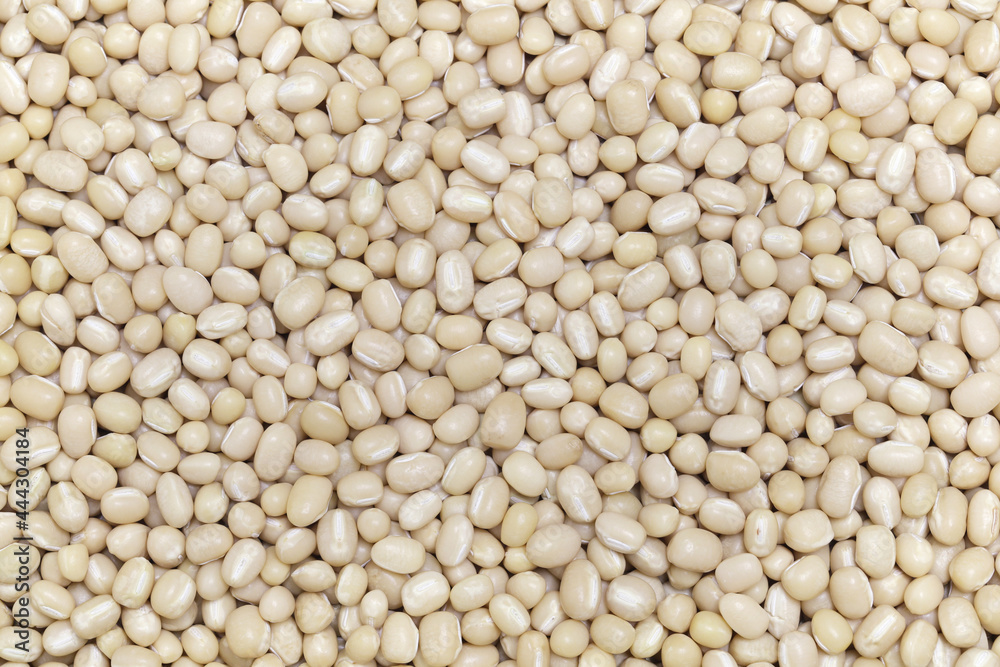white adzuki beans , japanese food ingredient
white adzuki beans , japanese food ingredient