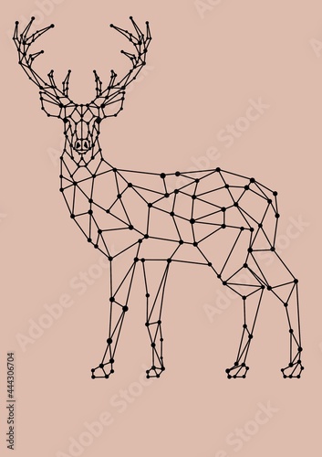 DEER LOW POLY BACKGROUND ANIMALS WILD NATURE © Andrii Yablonskyi