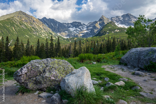 Gąsienicowa Valley in June. Tatra Mountains.