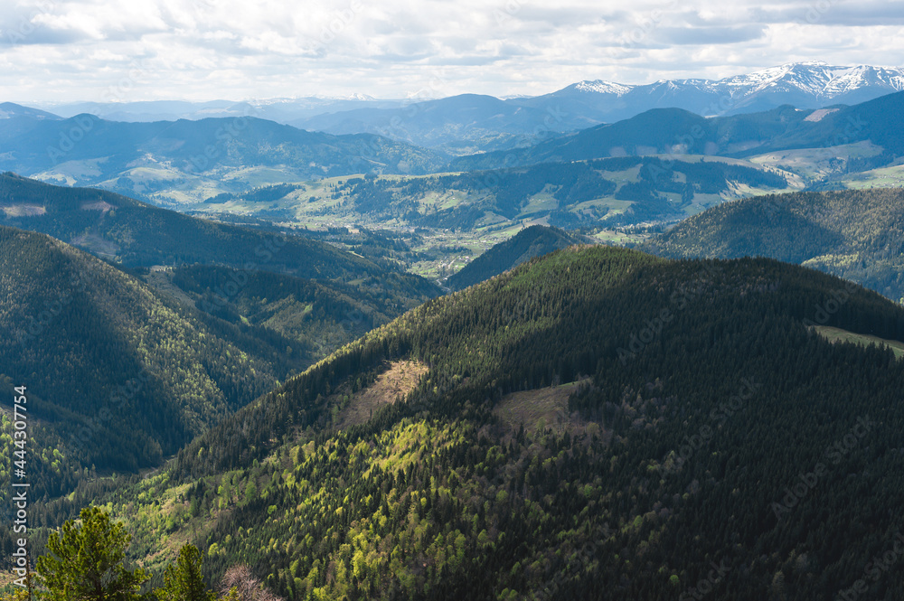 Naklejka premium Summer mountain landscape, Carpathians, Ukraine. Beautiful landscape of mountain national park. 