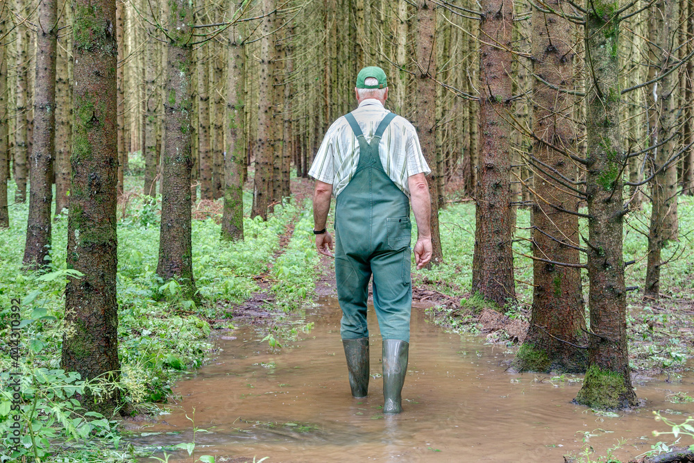 A forest owner walks through his flooded forest after a heavy rain. Extreme weather caused by climate change also causes immense damage in the forests.