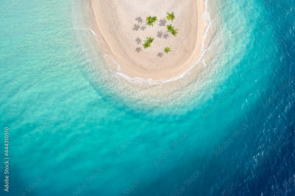 Sandbank mit Palmen im Meer