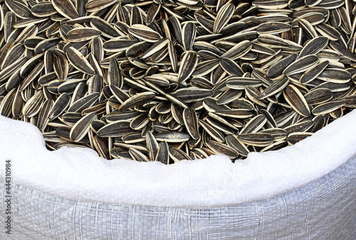 Fotografia close-up dried sunflower seeds background