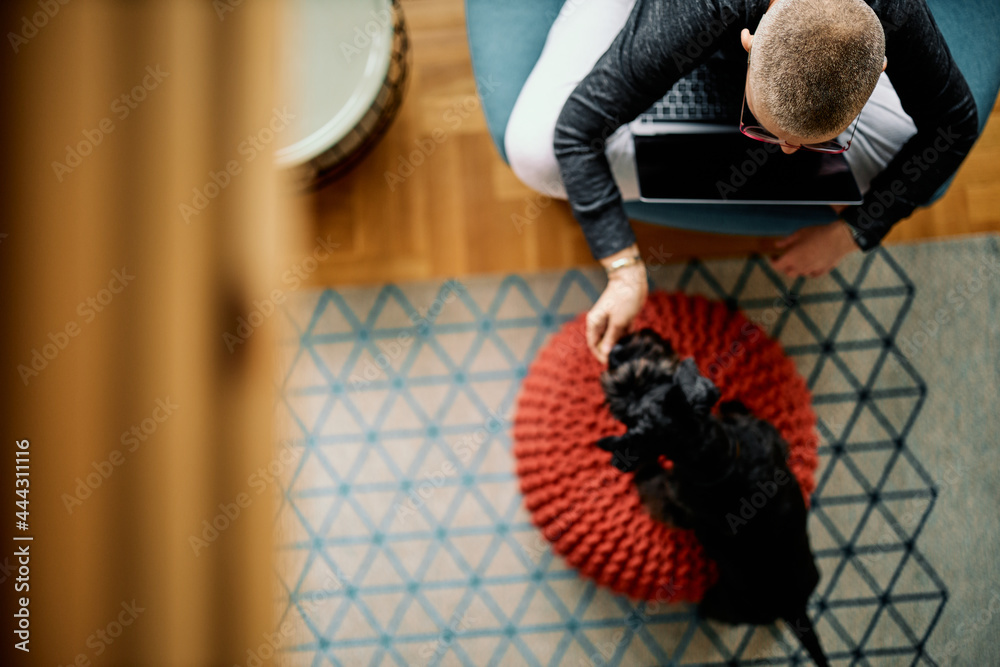Top view of senior freelancer sitting at home with laptop in her lap and petting her dog. Top view of senior freelancer sitting at home with laptop in her lap and petting her dog.