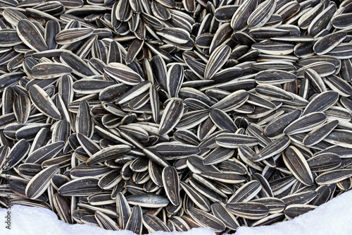 Obraz na plátně close-up dried sunflower seeds background