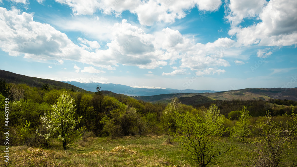 Fototapeta premium Mountain view , road and a sign