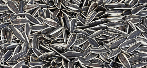 Fotografie close-up dried sunflower seeds background