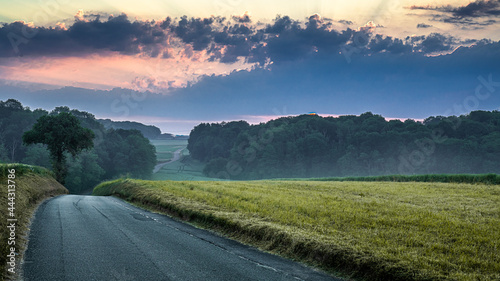 A countryside road in the morning