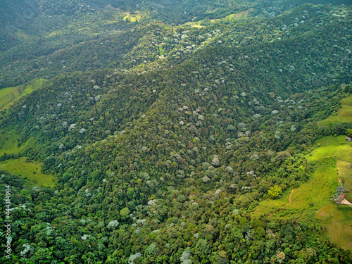 view of the rain forest