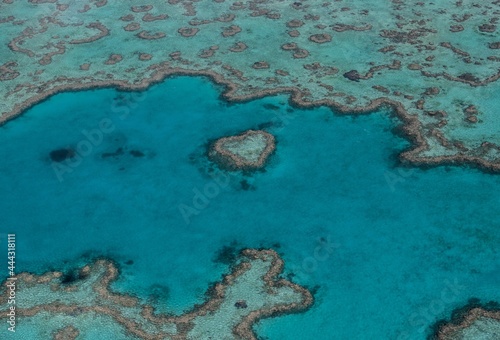 Fototapeta Naklejka Na Ścianę i Meble -  Arrecife de coral australiano, con corazón