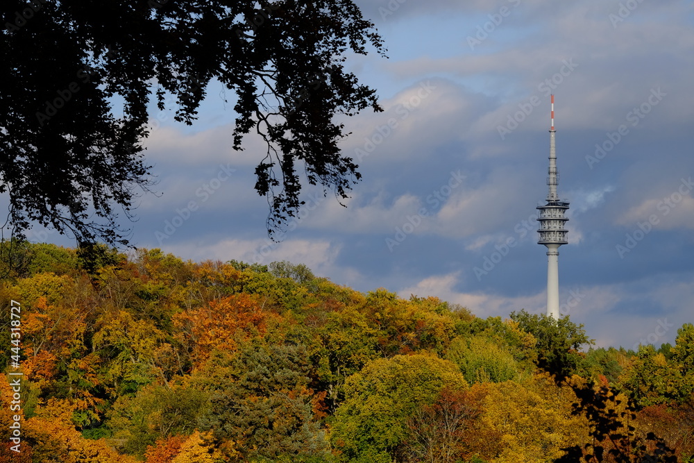 Fototapeta premium telecommunication tower in autumn forest