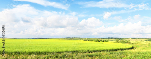 Fotografie green grass, trees and hills against the background of a large blue sky on a sunny day