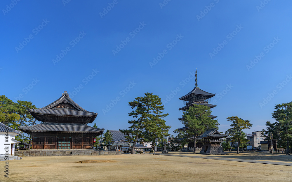 香川 善通寺 東院（伽藍）の風景