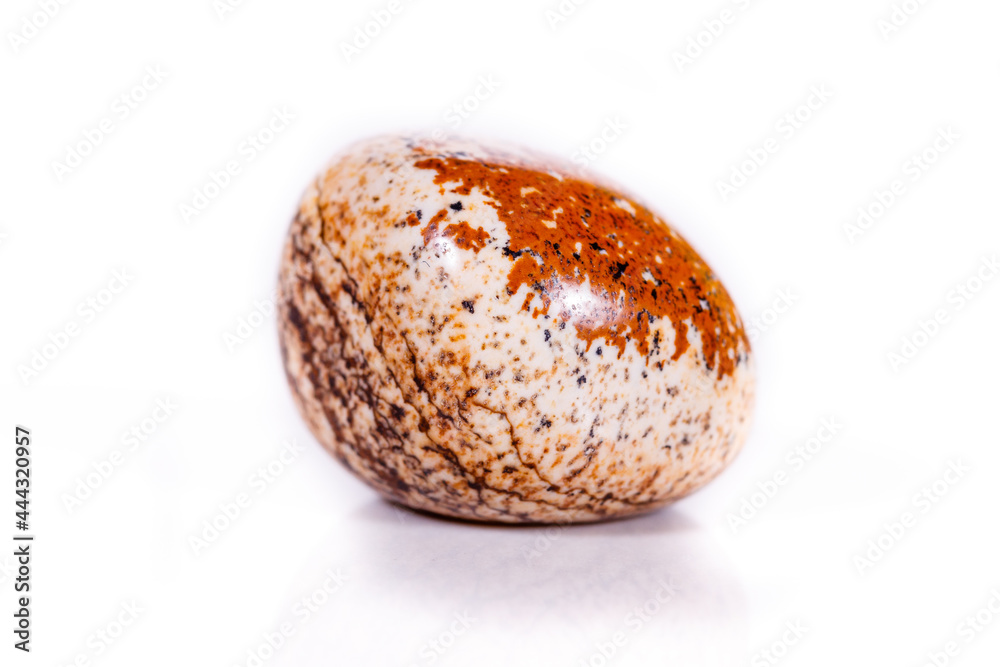Macro mineral rock jasper landscape sandy on white background