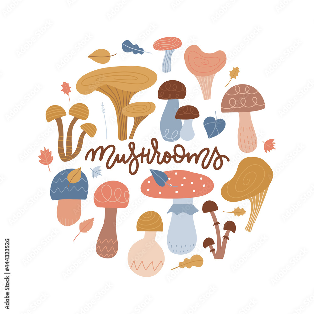 Round frame with forest mushrooms. Circle composition for card, banner or placard. Collection of different abstract mushrooms with roots. Isolated Vector flat hand drawn illustration with lettering Round frame with forest mushrooms. Circle composition for card, banner or placard. Collection of different abstract mushrooms with roots. Isolated Vector flat hand drawn illustration with lettering