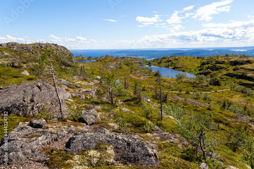 Stones, rocks and rare vegetation on the green mountain Kivakka, Paanayarvi. Karelia. Russia overlooks the blue ocean on the horizon.