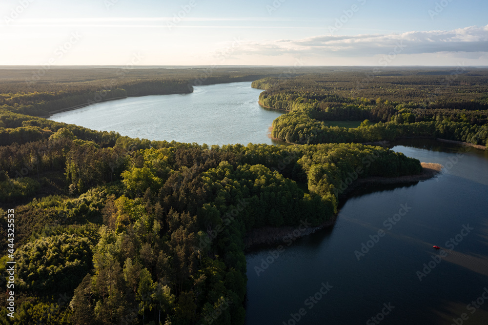 Forest with two lakes, drone photo