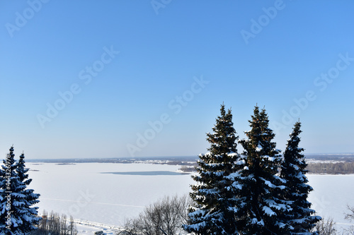 trees on the banks of the Volga in winter
