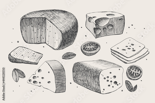 Set of hand-drawn hard cheeses on light background. Maasdam, smoked cheese, Cheddar, Gouda, Eden. Retro picture for the menu of restaurants, markets, shops. Vector illustration in style of engraving.
