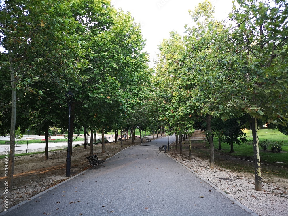 boulevard early in the morning in mostoles boulevard early in the morning in mostoles
