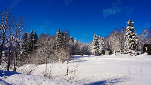 winter landscape in the mountains