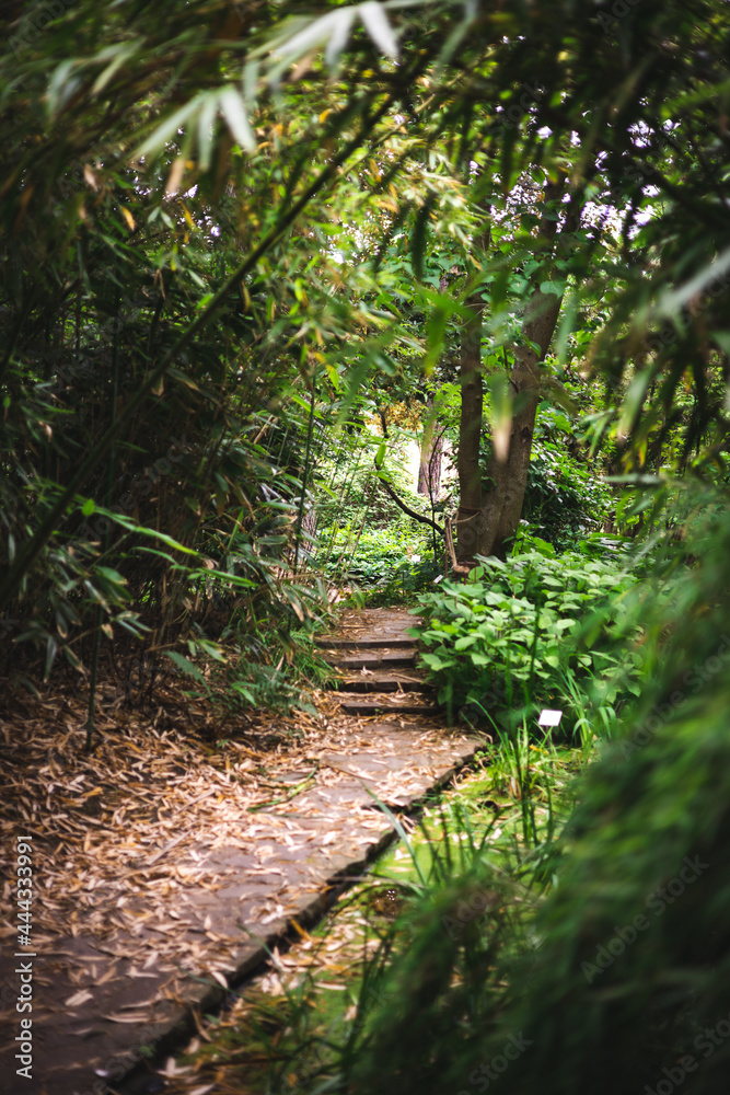 botanic garden, pathway in Leipizg botanic garden, pathway in Leipizg