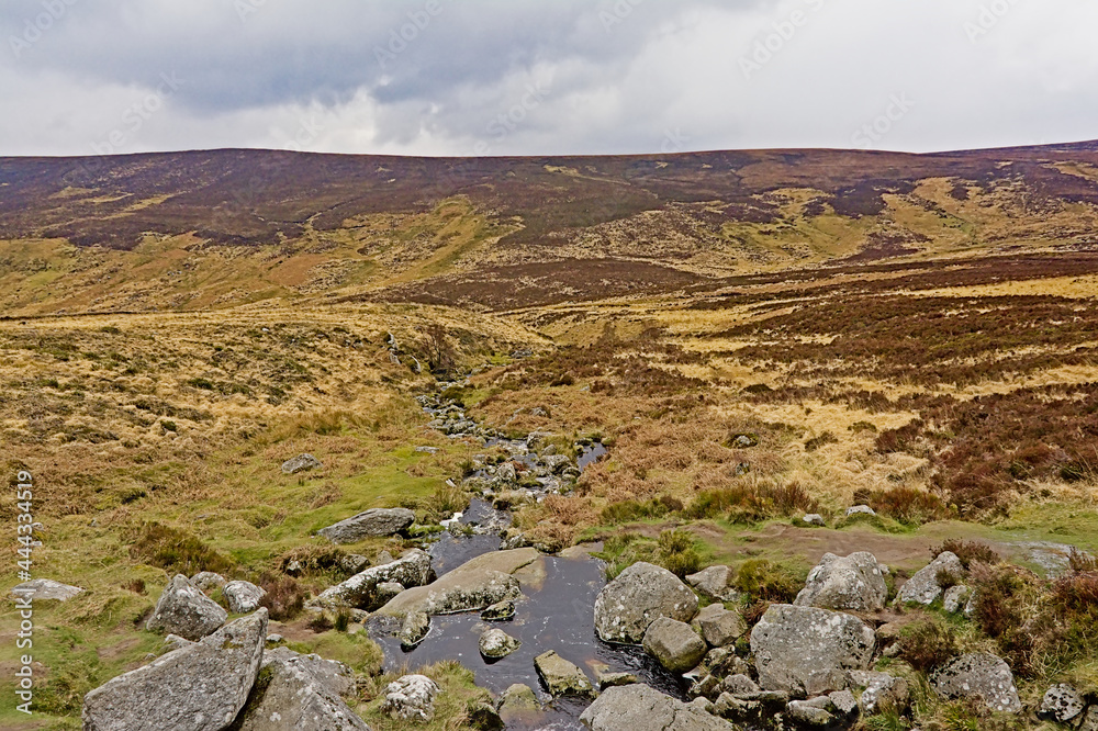 Foggy wicklow mountains detail. Creek and rocks and heath vegetation
