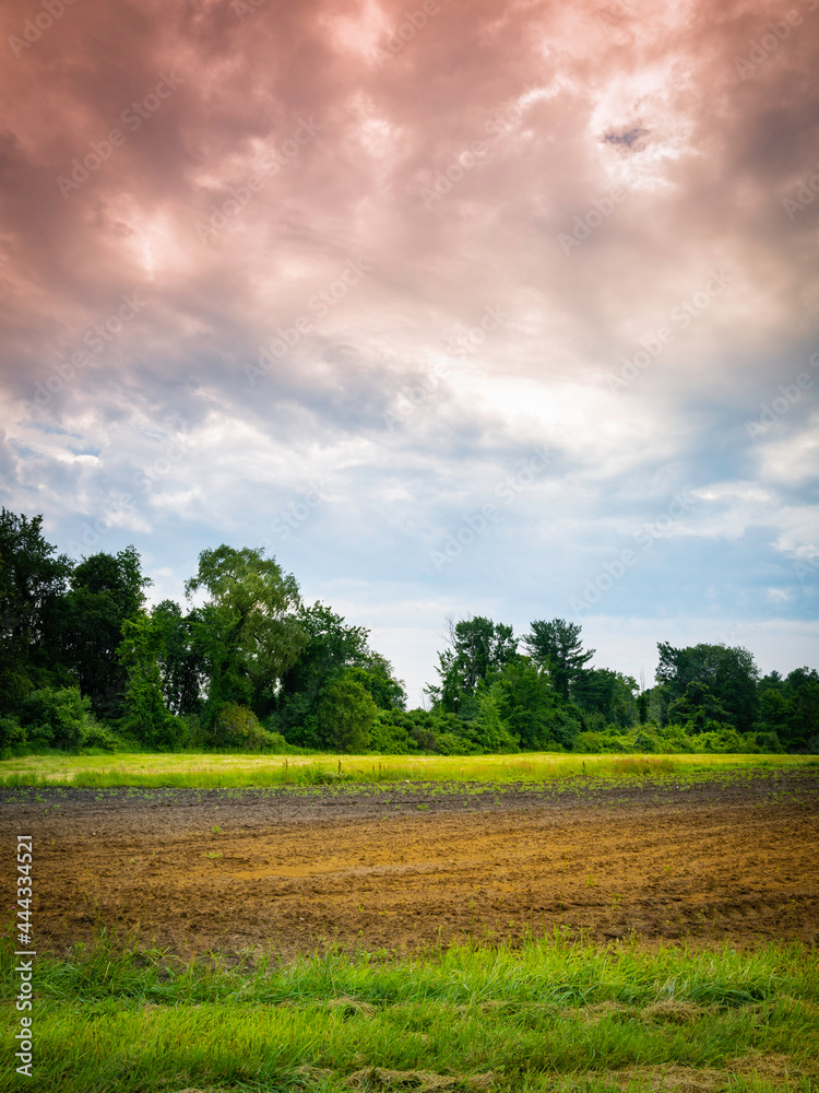 Agricultural Field and Dramatic Clouds Landscape