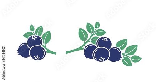 Blueberry logo. Isolated blueberry on white background