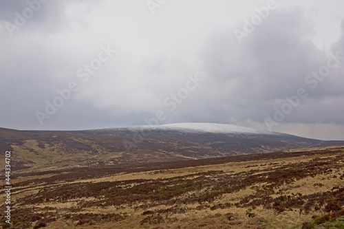 Foggy wicklow mountains with heath vegetation and snow cap on a cloudy day in Ireland