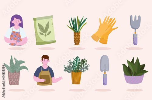 houseplants care set