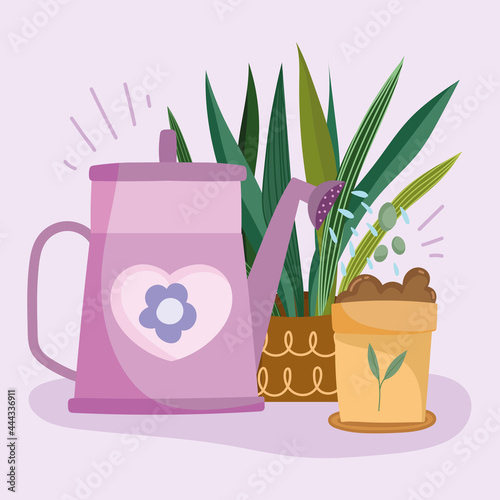 houseplant care watering