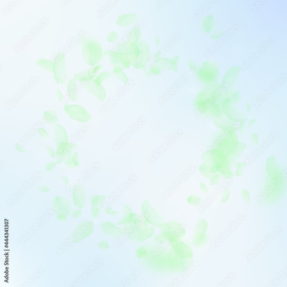 Green flower petals falling down. Emotional romant Green flower petals falling down. Emotional romant