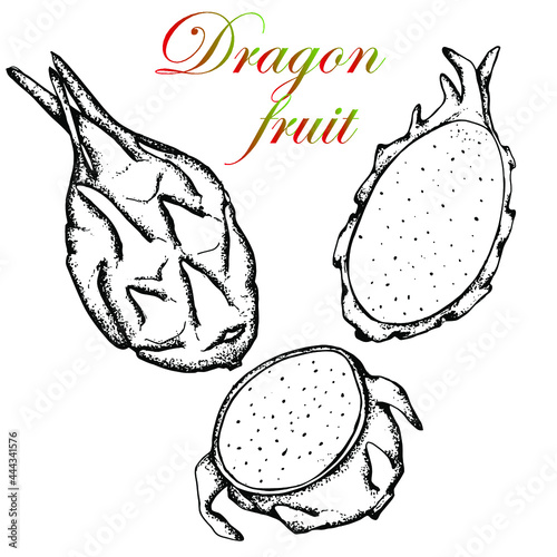Dragon fruit. Vector stock illustration. Black and white sketch. Hand drawing.Isolated on white background.Pitahaya. Half and whole fruit. Vegetarian plant. For packaging and labeling exotic food.
