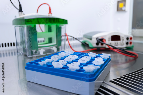 A set of samples in small eppendorfs of a laboratory stand against the background of a laboratory electrophoresis instrument. Preparation for analysis of PCR results. photo