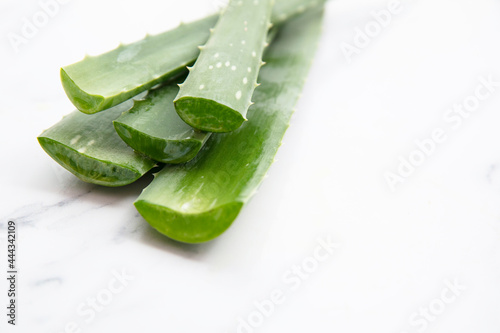 Natural green aloe vera stem health and well being background