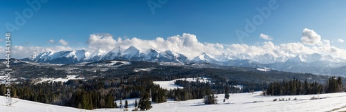 Beautiful winter landscape panorama, Tatra Mountains view from Lapszanka, Poland © hajdar